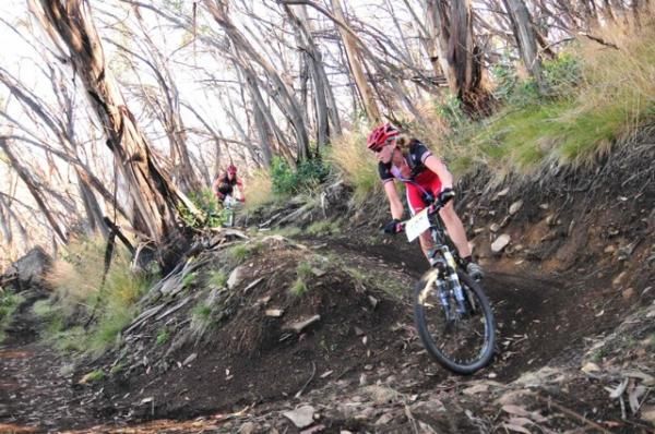 The Bike Buller MTB Festival is drawing nearly double the competitors to race singletrack built by Glen Jacobs.