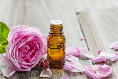 Pink Rose Next To A Small Jar Of Oil