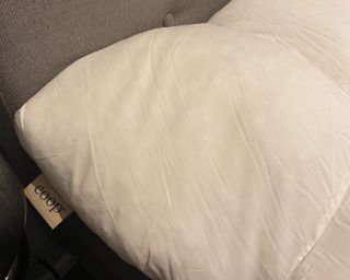 Coop Home retreat mattress review in Louises bedroom