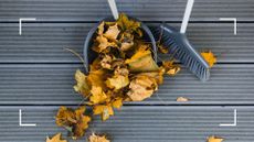  picture of person sweeping up autumn leaves from a decking with dustpan and brush