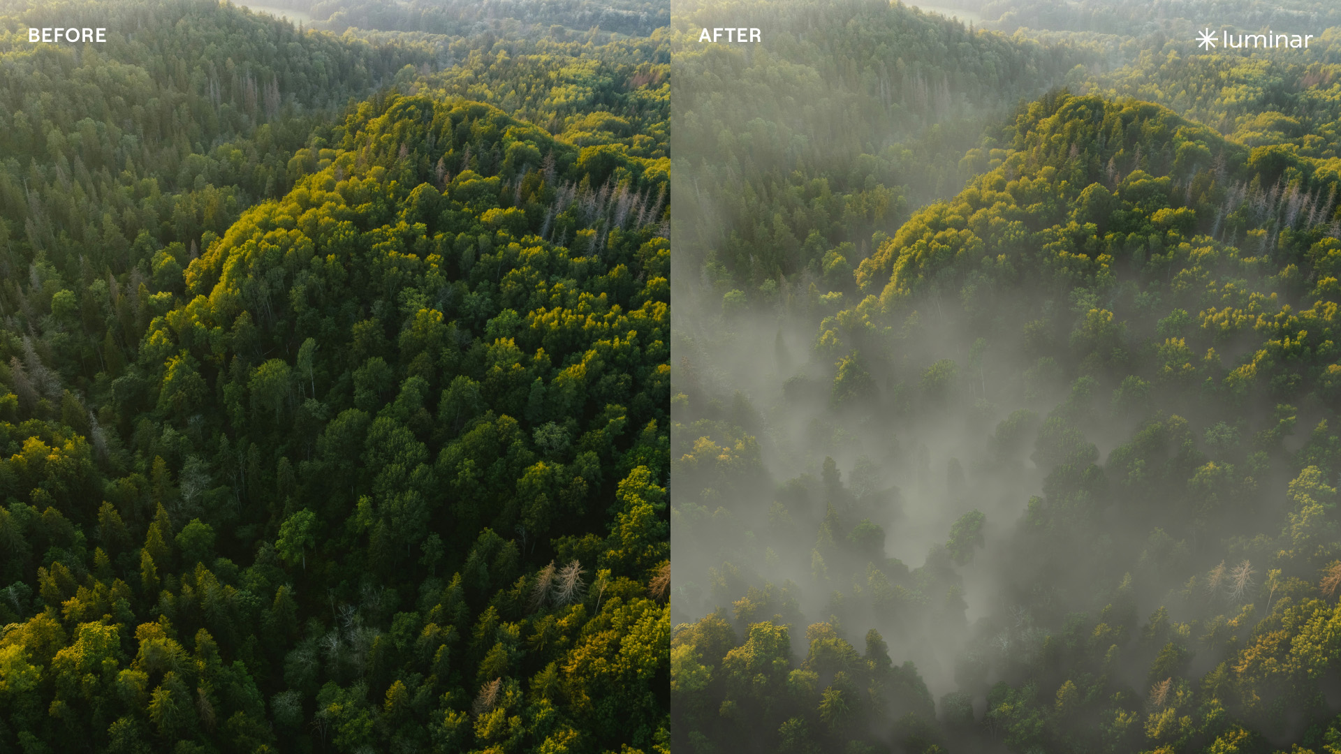 Luminar screenshot showing the 2026 Fall Update