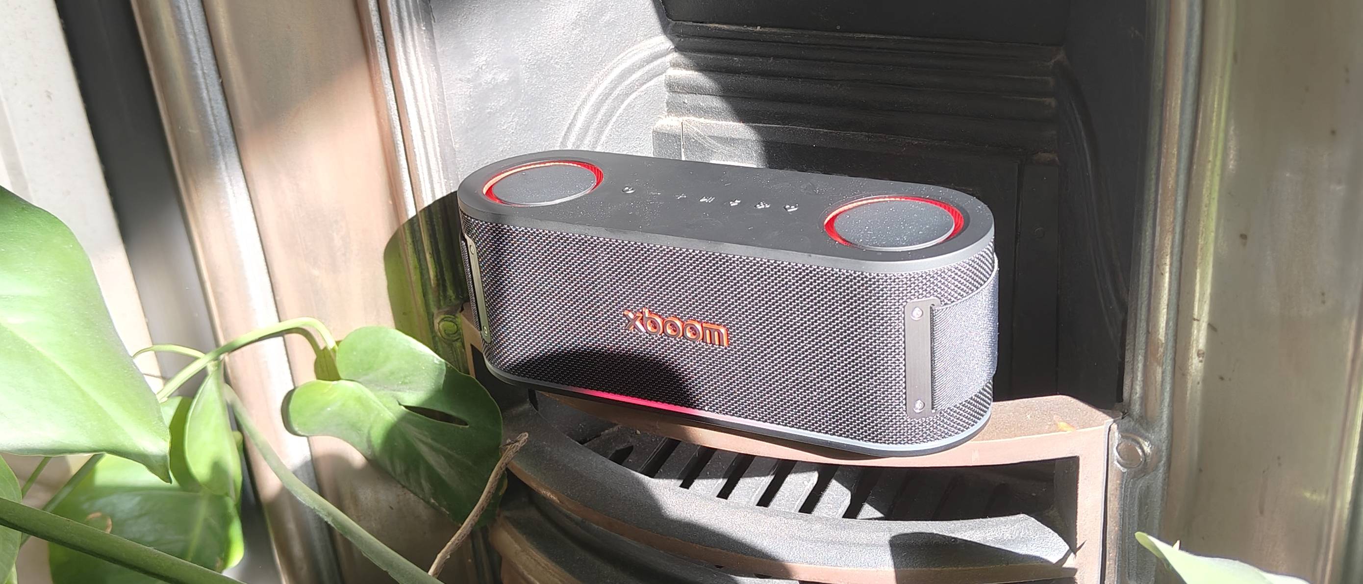 The LG xBoom Bounce by a leafy plant on a shelf.