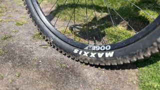 DT Swiss 1900 with Maxxis Minion tyre
