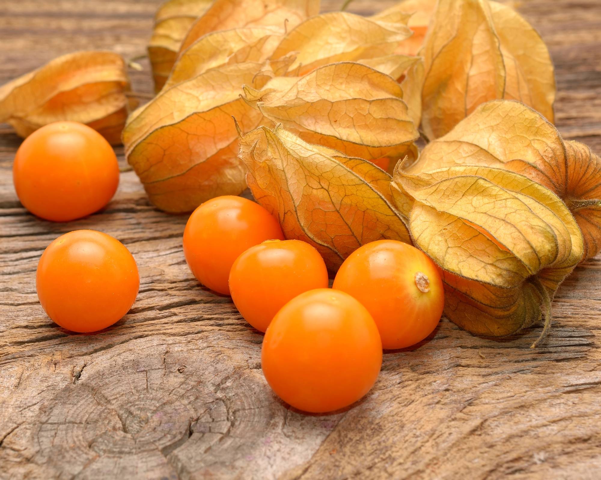 ground cherries