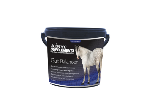 GutBalancer-1pt3kg.jpg