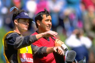 Foster and Seve