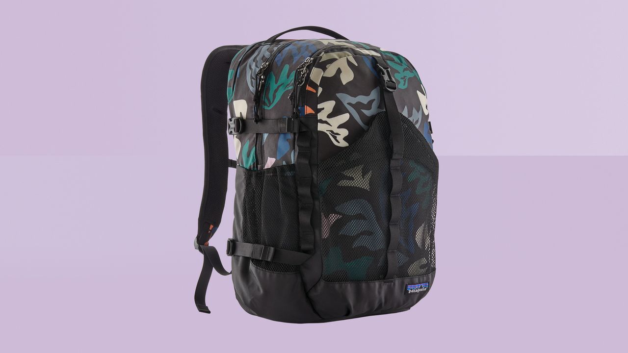 Patagonia Refugio Daypack 30L