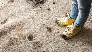 How to clean a carpet 
