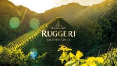 RUG-visual-H-2-300x169