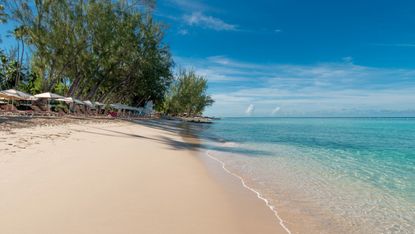 Beautiful sandy beach