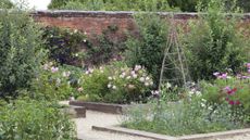 Flowers growing in raised beds surrounded by gravel paths in a walled garden