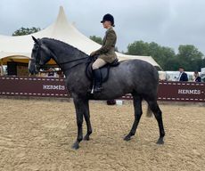 Alice Homer and Bloomfield President land a 5-strong four-year-old hunter class