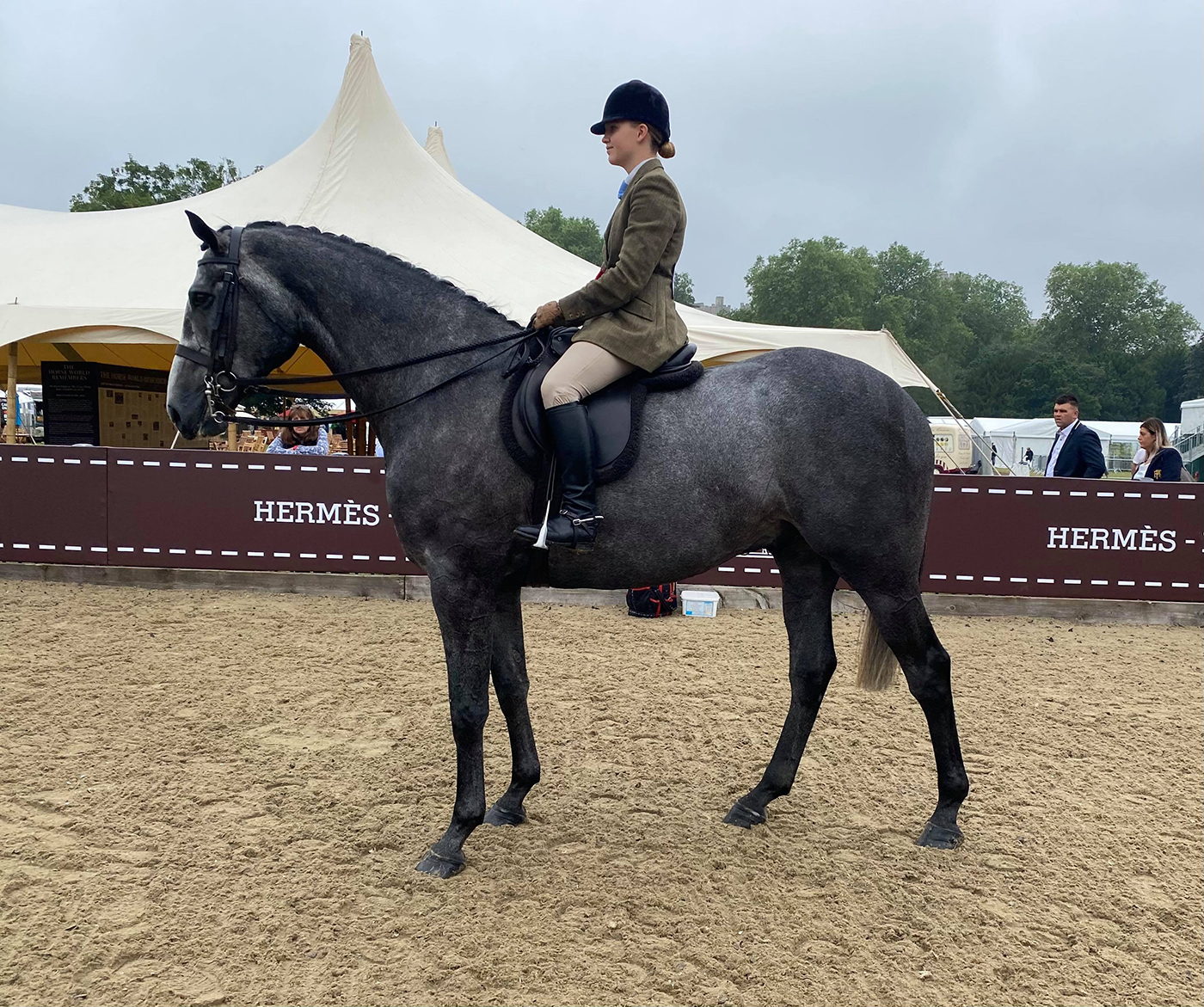 Alice Homer and Bloomfield President land a 5-strong four-year-old hunter class