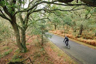Image shows a cyclist on a bike ride during Autumn.