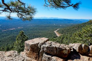 The view of the forest below the Mongollon Rim in Arizona on a clear sunny day