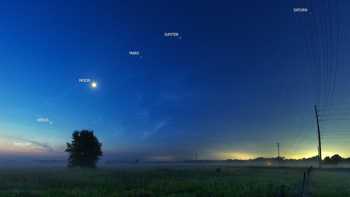See the rare alignment of 5 planets and the moon in this stunning night sky photo