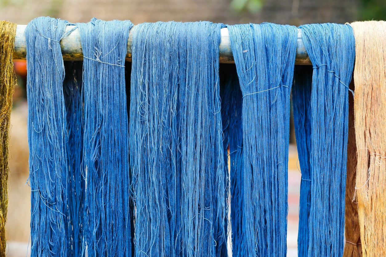 Dyed Thread From Indigo Plant