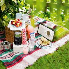 picnic basket and picnic food set up on grass