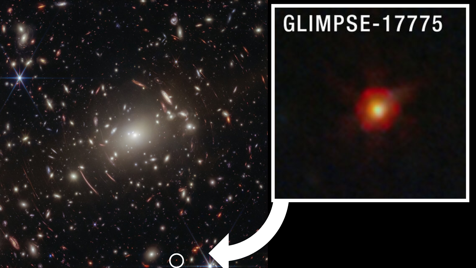 James Webb Area Telescope finds proof the mysterious ‘little purple dots’ are black gap stars