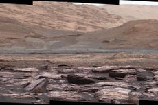 A professor at the University of Ohio claims that the Martian landscape might be littered with insect and reptile-like life-forms. However, other scientists refute this claim.