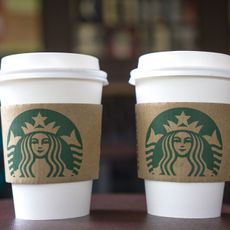 Starbucks Hot Drinks Cups