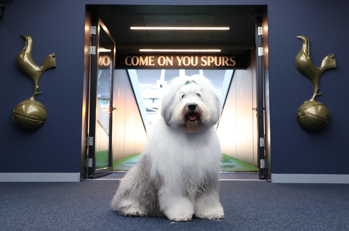 Jose Mourinho did not want to comment on the controversy surrounding Tottenham’s new sponsor Dulux