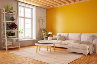 A white room with a yellow feature wall, along with a cream sofa, white wooden coffee table, and a decorated ladder shelf with plants.