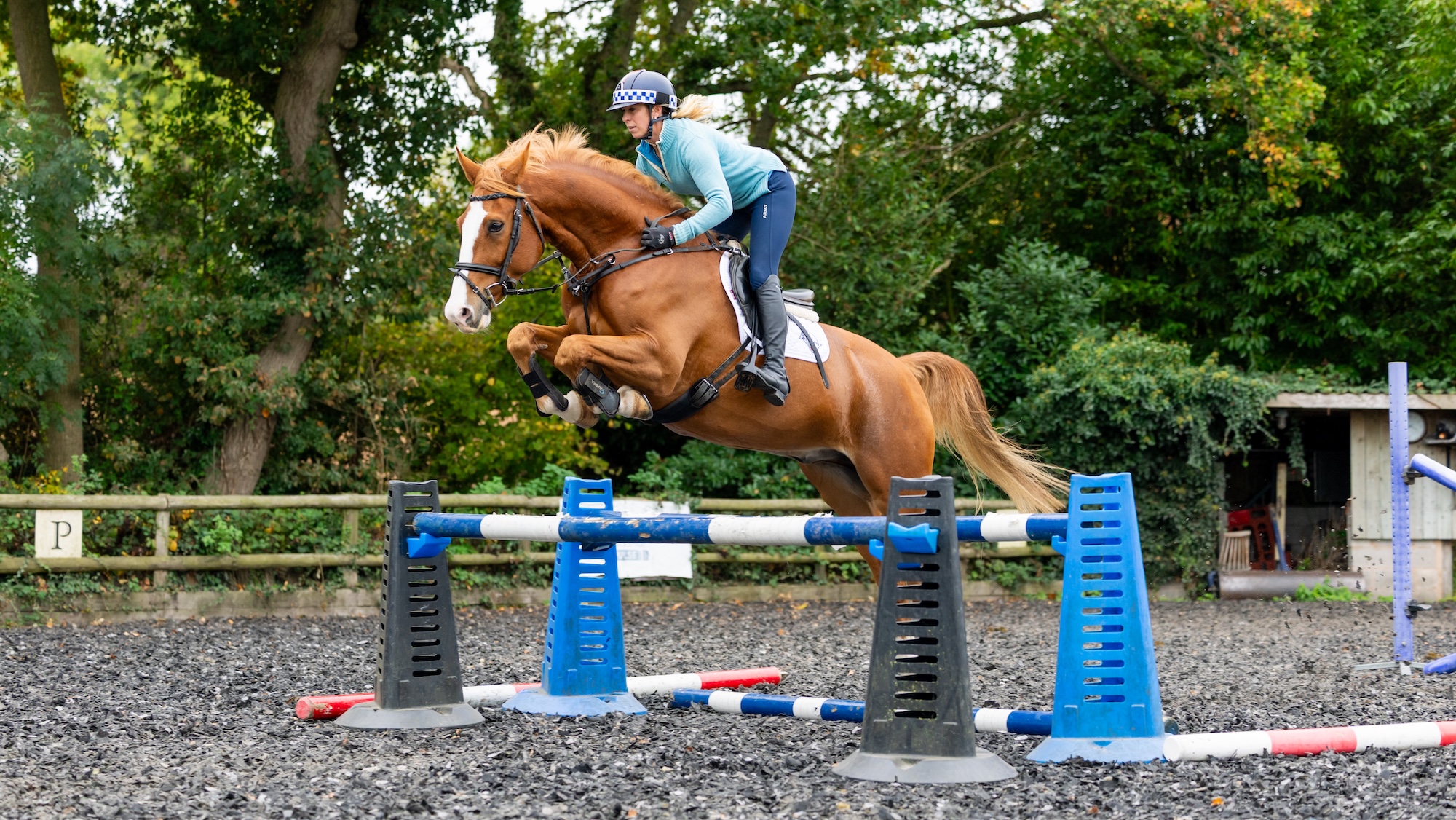 Horse jumping parallel fence in grid exercise