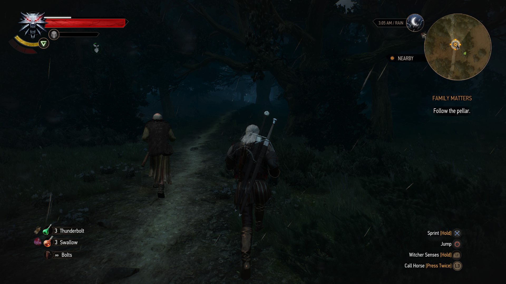 the witcher 3 follow the pellar