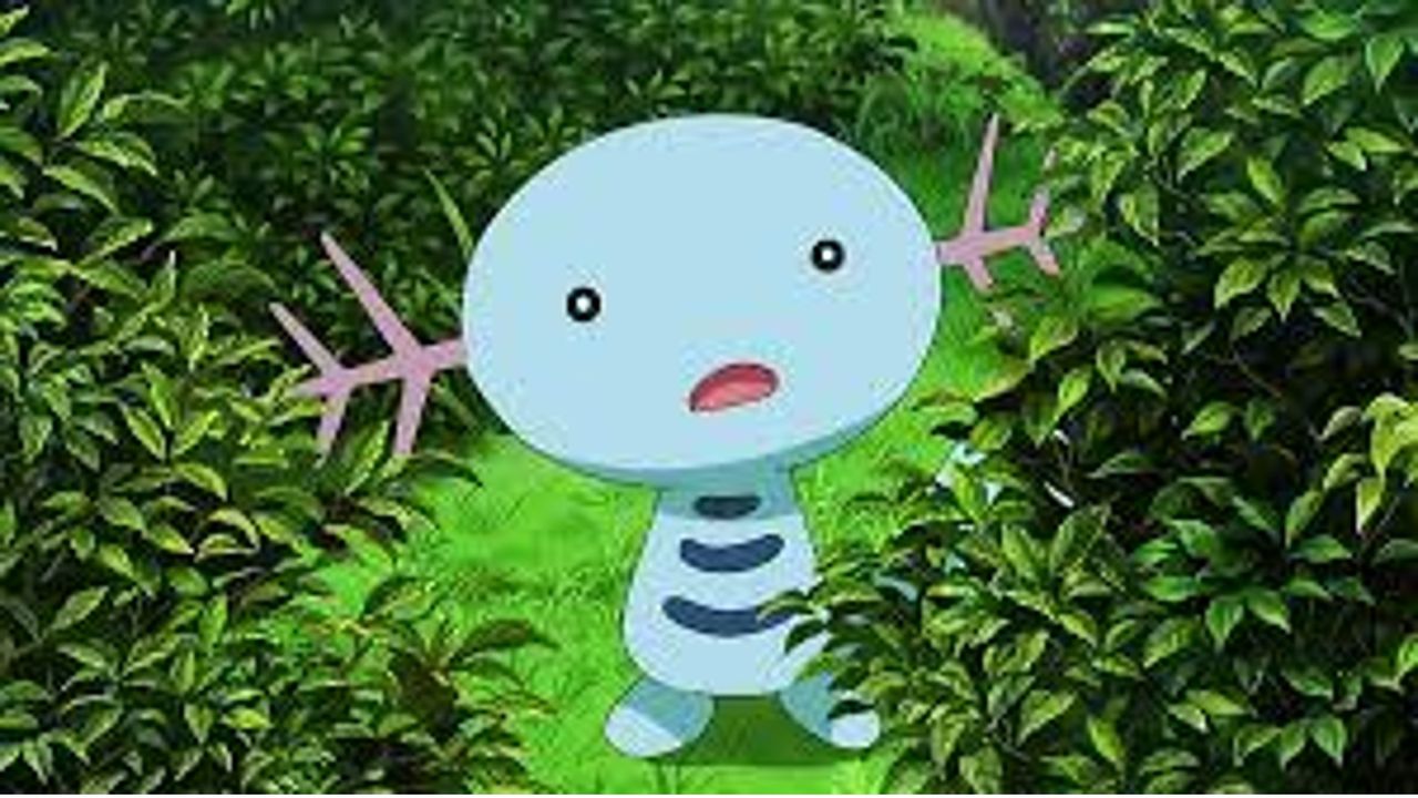 wooper