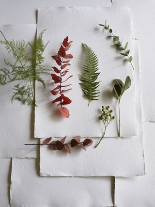 foliage for DIY candleholders