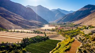 mountains and vineyard in Chile