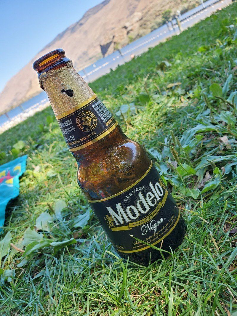 Galaxy Note 10+ camera sample