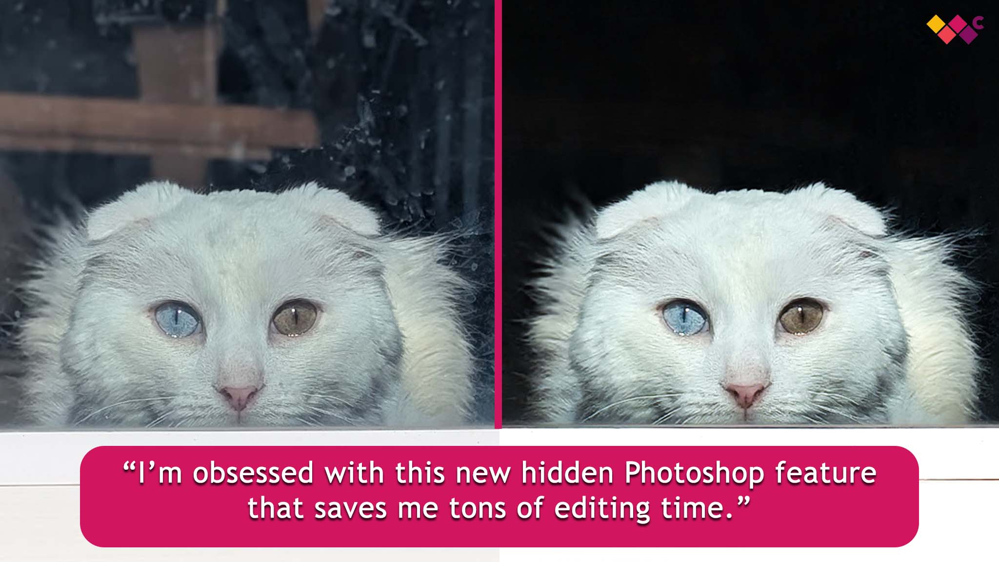 An original image of a cat next to an edited image of a cat. Under the cat it reads "I'm obsessed with this new hidden Photoshop feature that saves me tons of editing time."