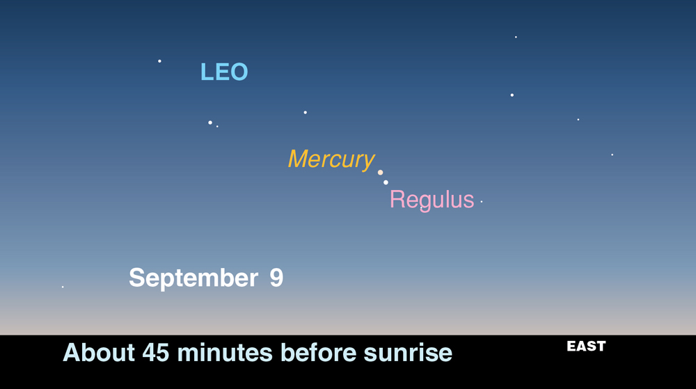 This sky map released by the skywatching publication StarDate magazine shows where to look to see planet Mercury and the bright star Regulus in the pre-dawn sky between Sept. 8 and 11 in 2011. 