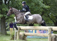 pony-club1.jpg