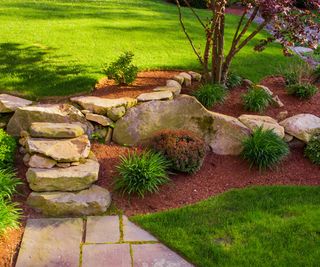 steps with rocks and mulch, acer tree and lawn