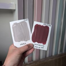 a hand holding up two paint samples in front of a wall with paint samples on it