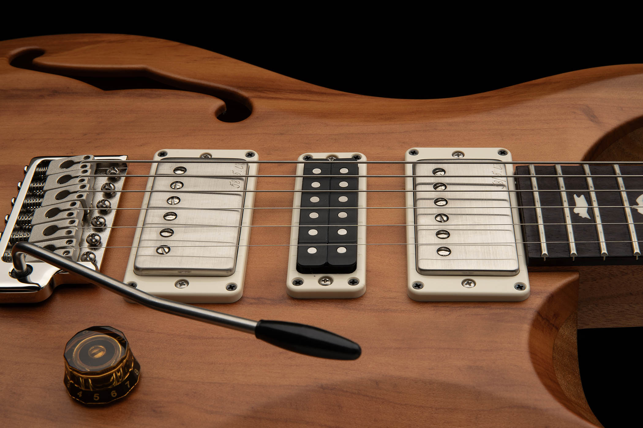 PRS S2 Special Semi-Hollow Reclaimed: limited to 700 instruments worldwide, this versatile high-end semi is made from tone woods salvaged from a hurricane and old Brazilian farmhouses.