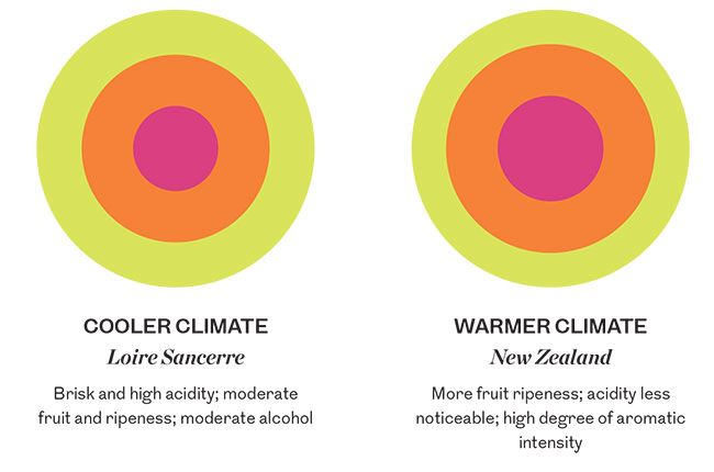 Understand wine, Berry Br