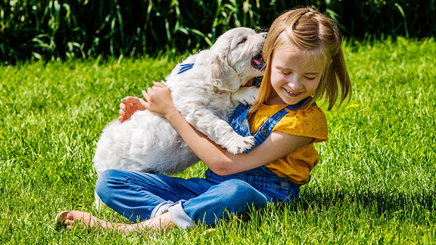 Child playing with dog