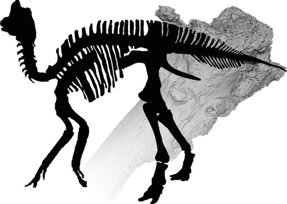 duck billed dinosaur with arthritis