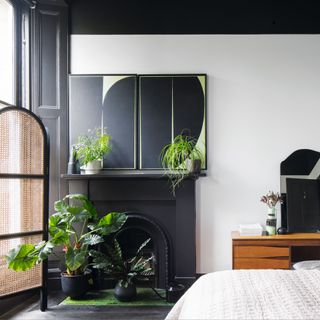 House plants displayed in bedroom and dark mantelpiece
