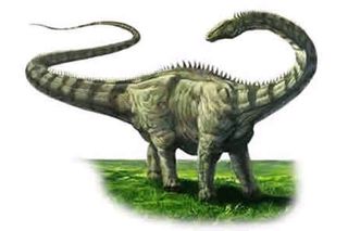 largest dinosaur