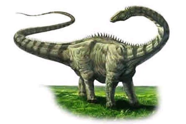 largest dinosaur