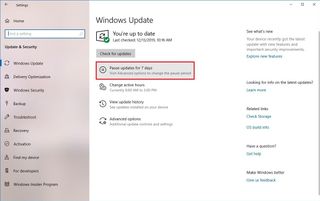 Pause Windows Update option