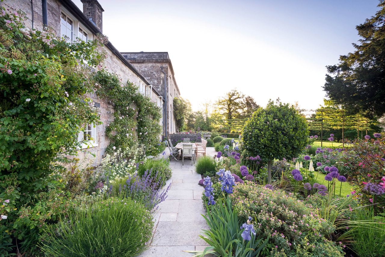 The terrace at Knoyle Place, with a mix of alliums, including ‘Gladiator’, as well as lavender, Iris ‘Jane Phillips’, Lupin ‘Polar Princess’ and Nepeta ‘Walker’s Low’. Knoyle Place, the Wiltshire home of the Comtesse de La Morinière. ©Mimi Connolly