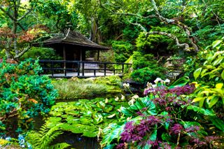 pagoda in japanese garden