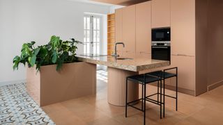 A monstera plant in a kitchen in a terracotta kitchen