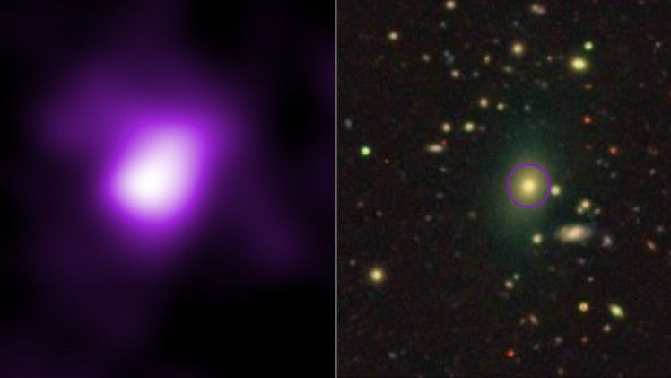 A side-by-side image of X-ray and optical data showing what appears to be an active black hole hidden at the center of a distant, dusty galaxy